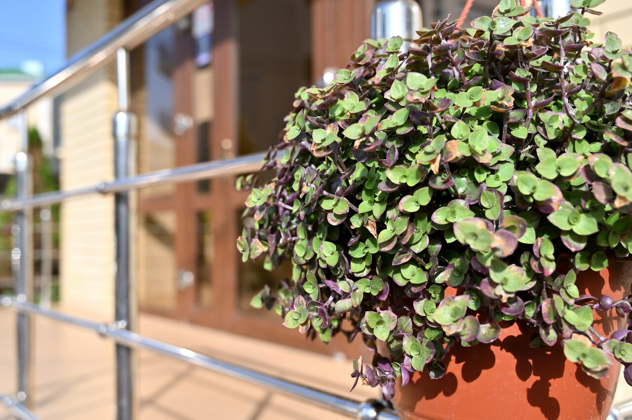 Гостиница Морская Волна Анапа-73