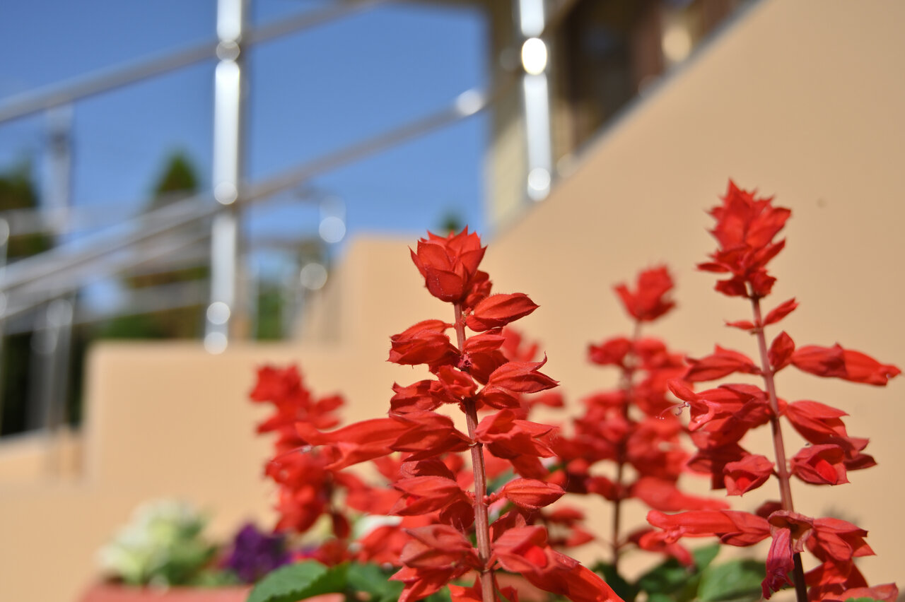 Гостиница Морская Волна Анапа-60