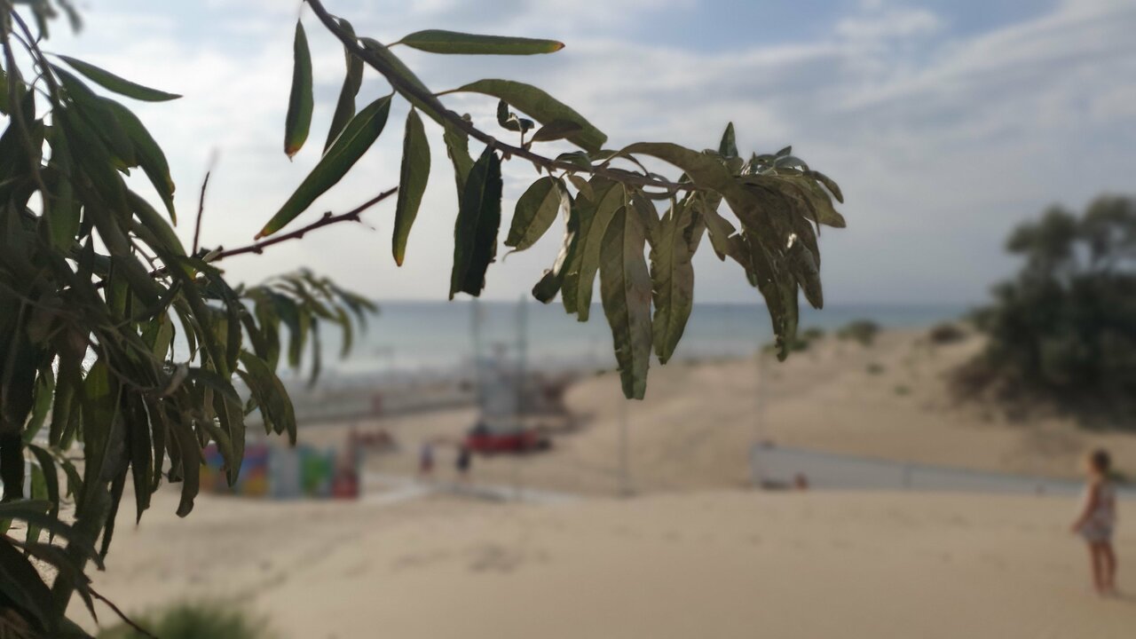 Гостиница Морская Волна Анапа-185