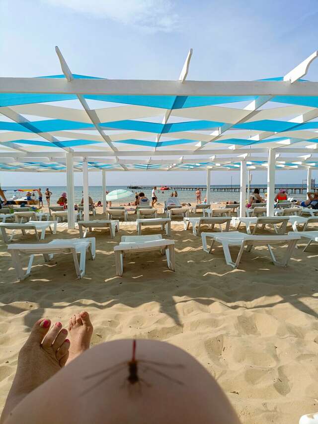 Гостиница Морская Волна Анапа-93