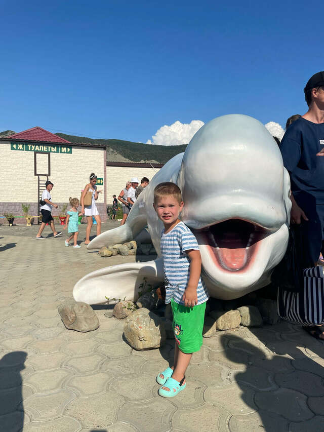 Гостиница Морская Волна Анапа-165