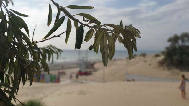 Гостиница Морская Волна Анапа-184