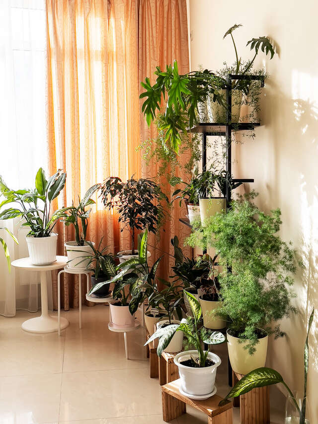 Гостиница Морская Волна Анапа-63